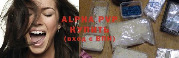 индика Елабуга
