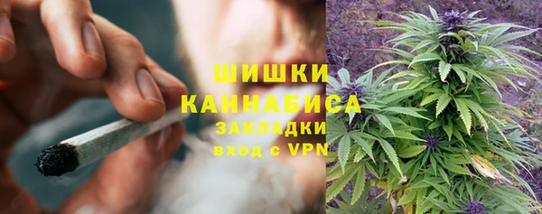 стаф Абаза