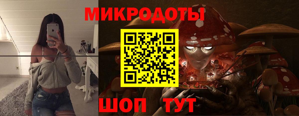 Галлюциногенные грибы Psilocybine cubensis Нягань