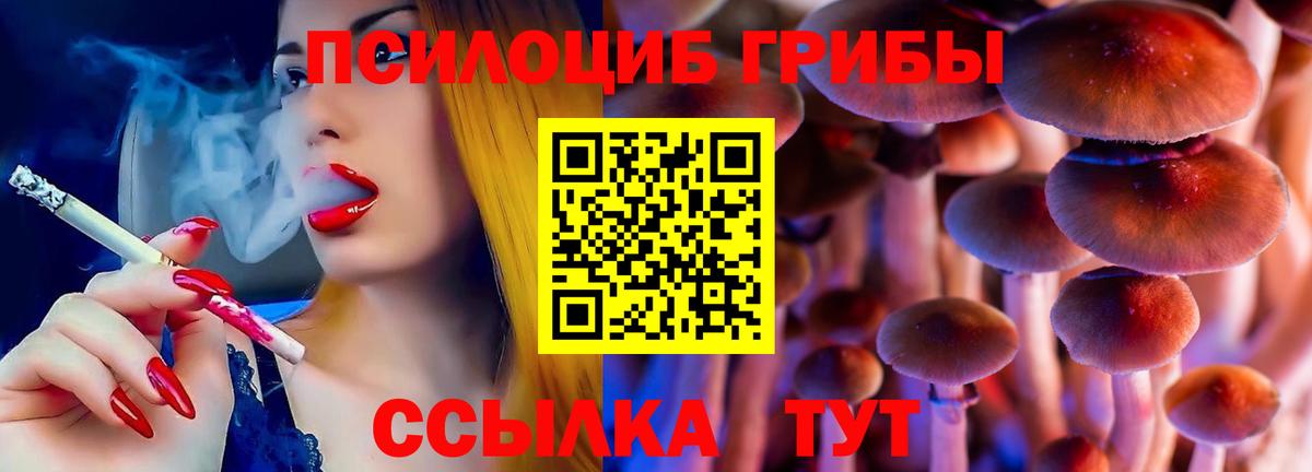 Нягань  Псилоцибиновые грибы Psilocybe  Вход с VPN 